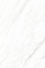 Tile-Statuario Winds (Polished)