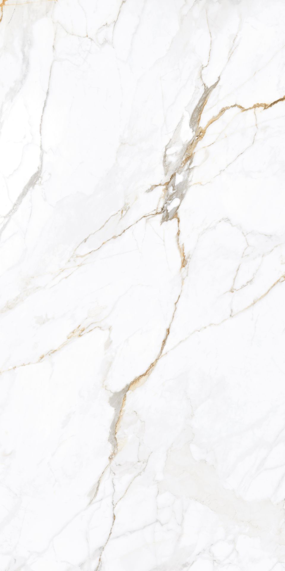 Appolo White