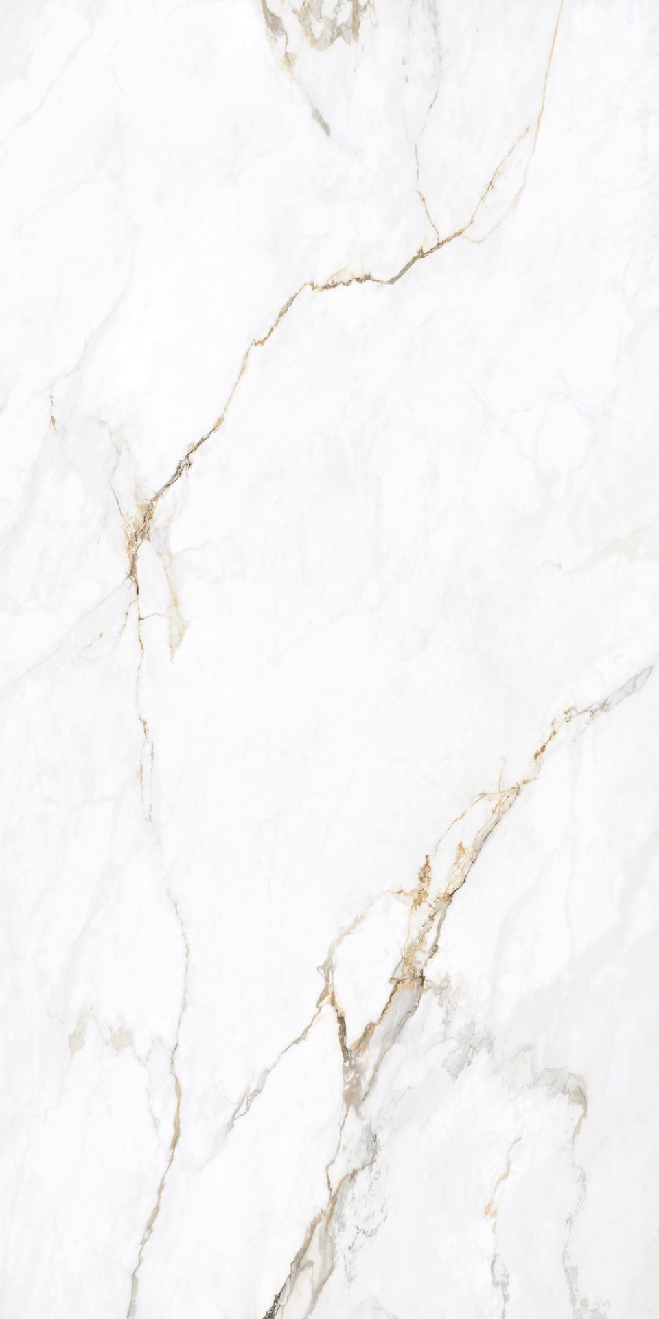 Appolo White