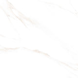 Tile 5001 Glossy 60x60