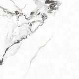 Tile Antico White Pgvt 60x60