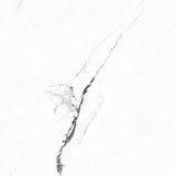 Tile Antico White Pgvt 60x60
