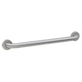 Bobrick 42-Inch Straight Grab Bar