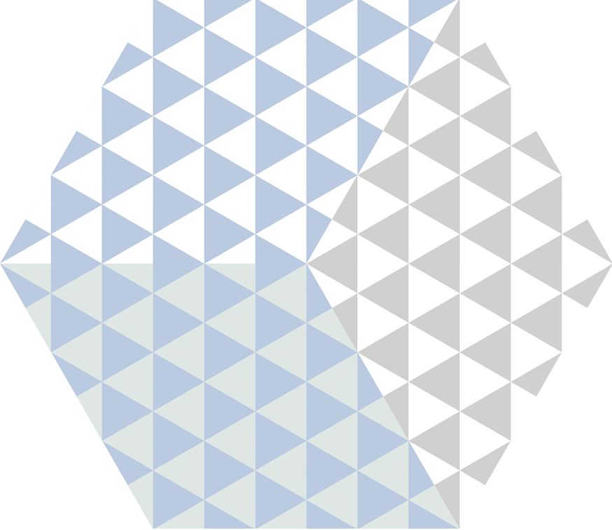230*270 Peonia Azul