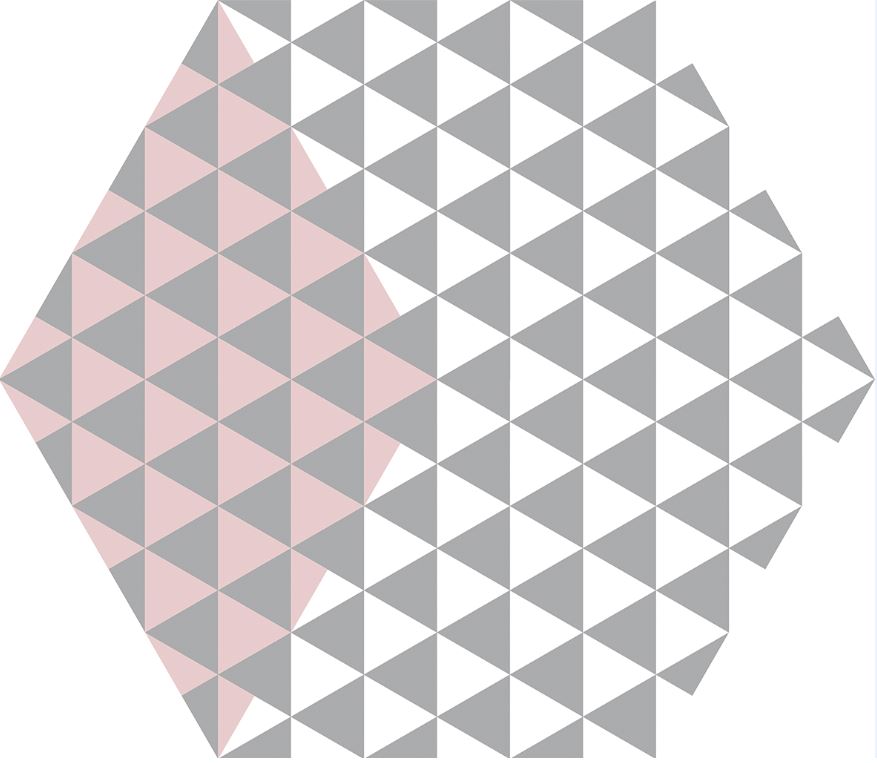 230*270 Peonia Rosa