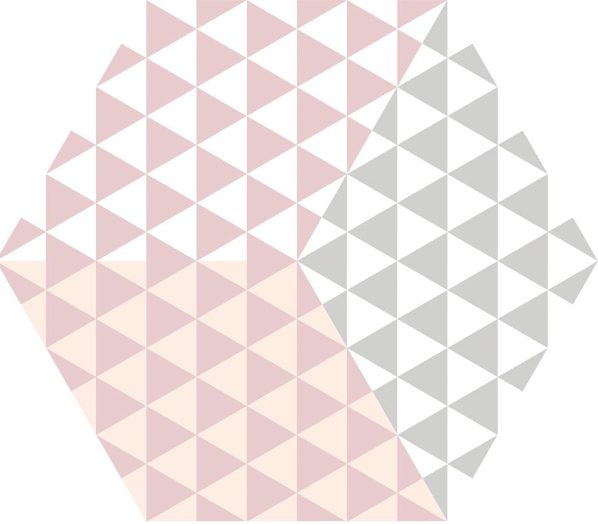 230*270 Peonia Rosa