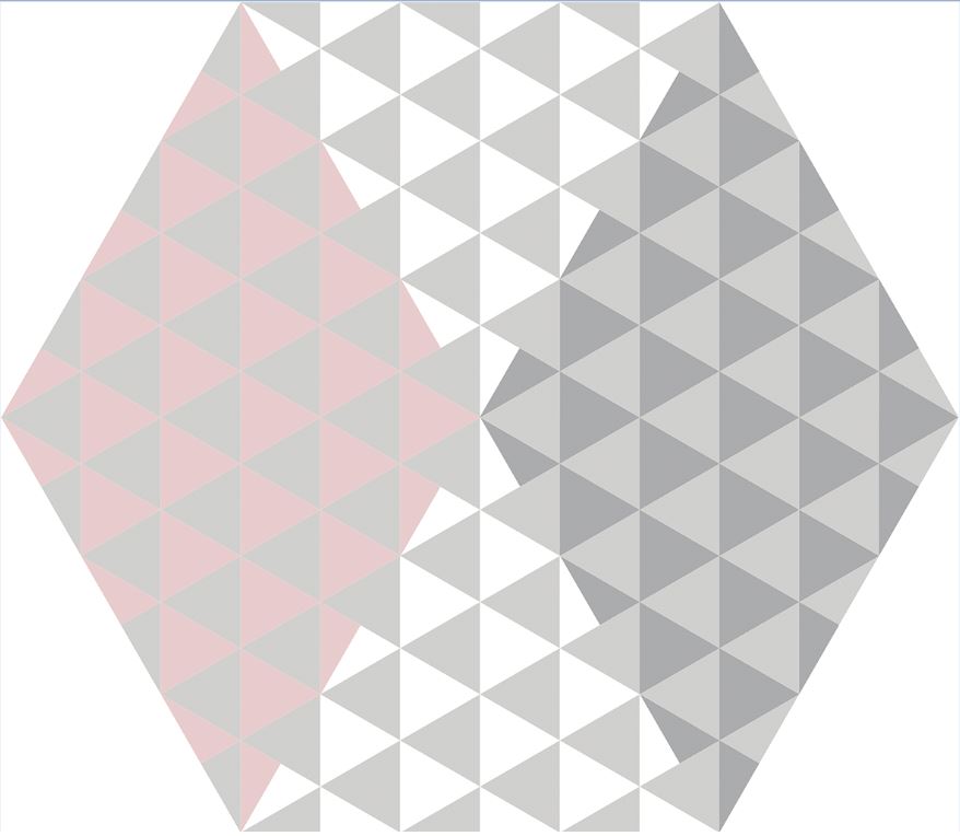 230*270 Peonia Rosa