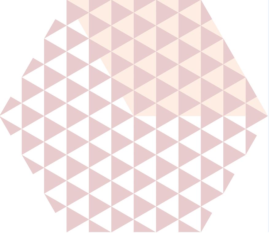 230*270 Peonia Rosa