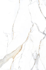 Tile-Calacatta Belisimo