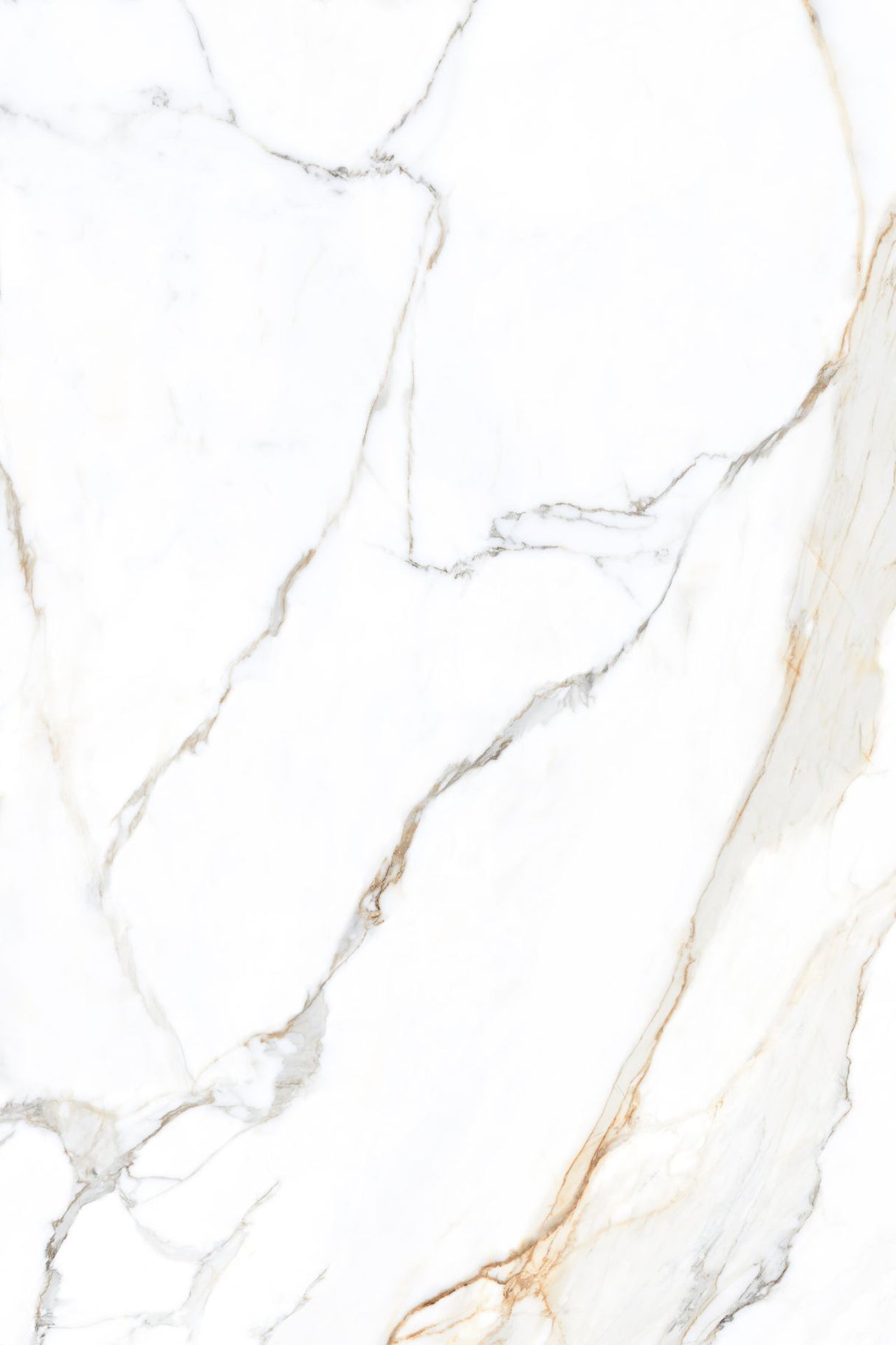 Tile-Calacatta Belisimo