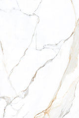 Tile-Calacatta Belisimo