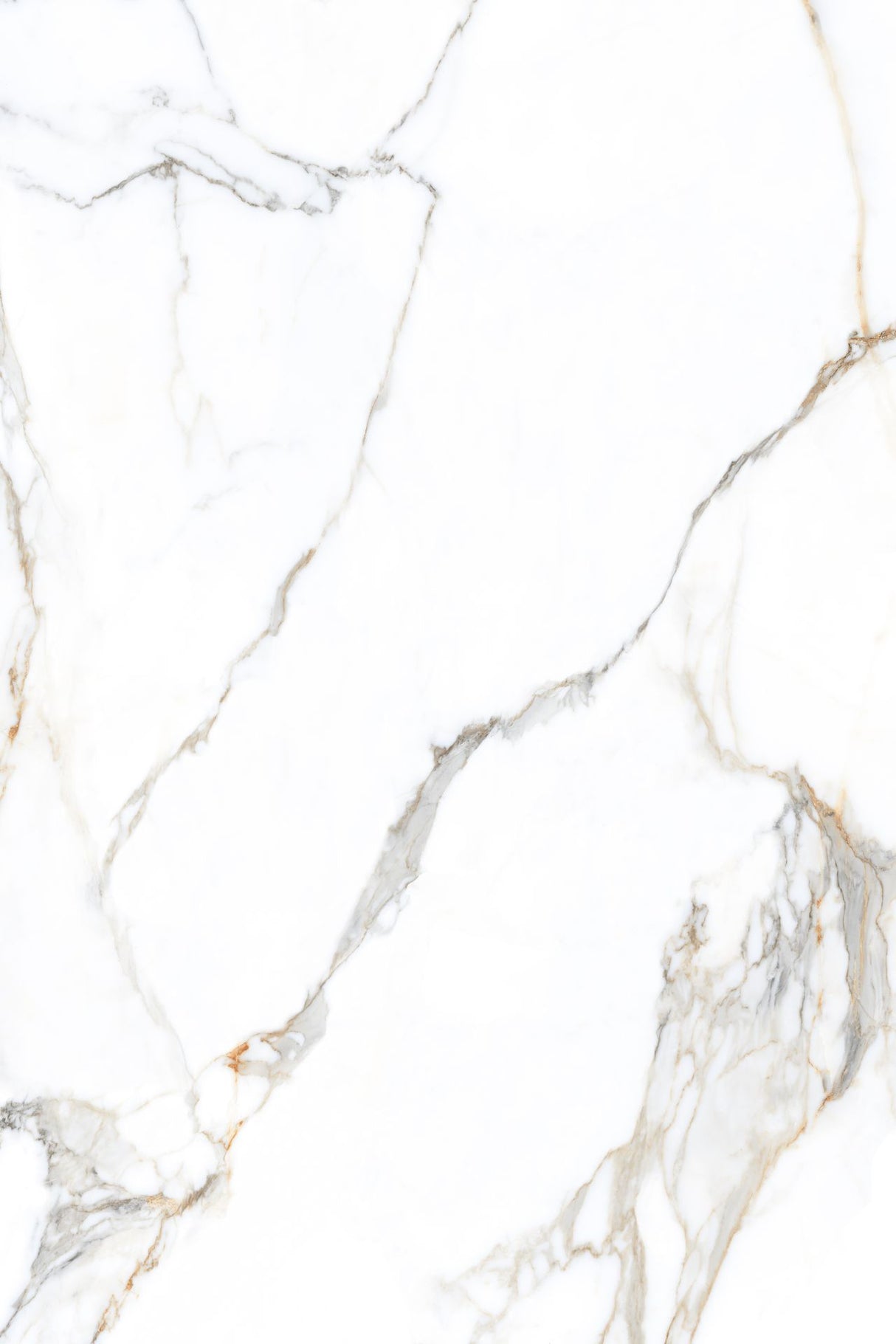 Tile-Calacatta Belisimo