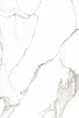 Tile-Calacatta Belisimo