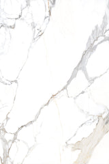 Tile-Calacatta Belisimo