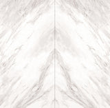 Carrara Face A Glossy Tile – 160×80 cm