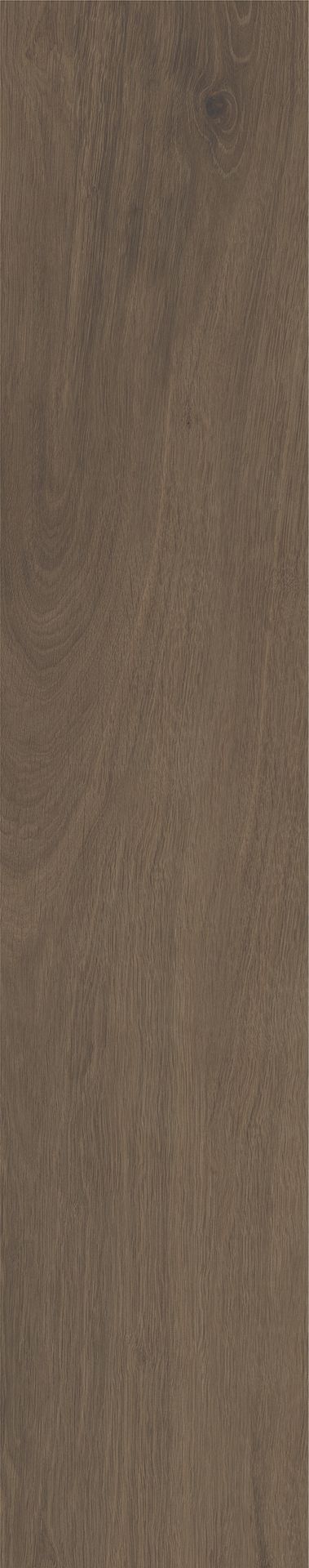 Tile-Porcelain Inout Versat Nogal MT Rect