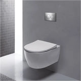 Geberit Sigma20 Dual Flush Actuator Plate Bright Chrome/matt Chrome