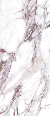 Tile-SCS Calacatta Rose (PG)