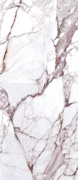 Tile-SCS Calacatta Rose (PG)