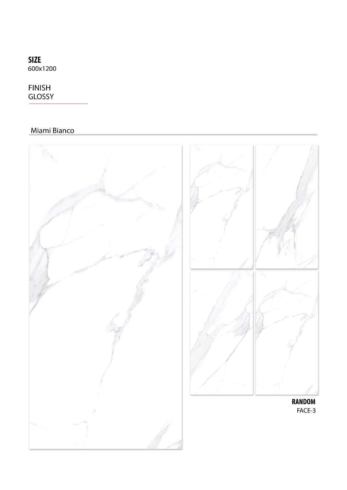 Tile- Pgvt Miami Bianco