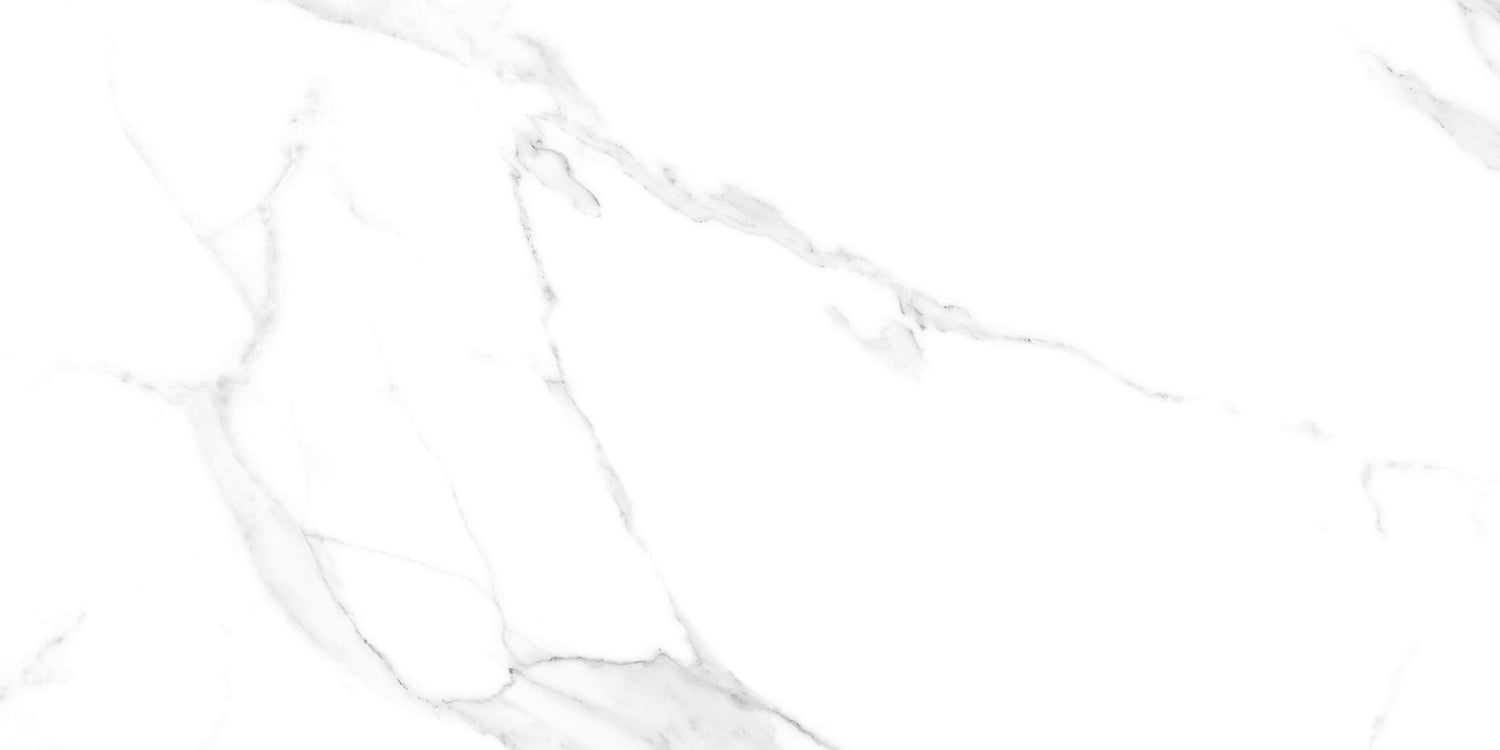 Tile- Pgvt Miami Bianco