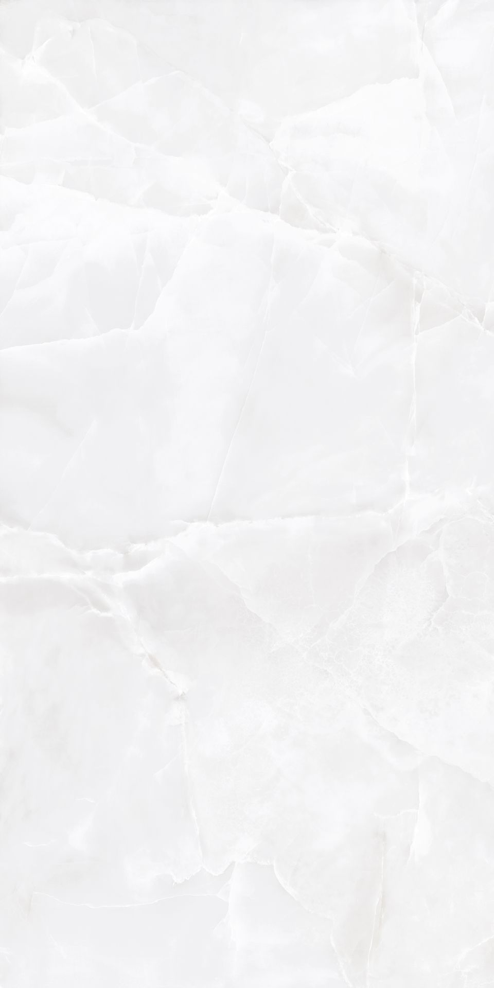 بلاط-بورك.في-لوب لؤلؤة الزعفران مستطيل