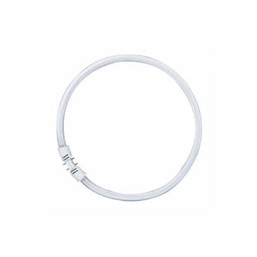 Osram 22W Ring Shape Fluorescent tube. 2Gx13, 240V Qatar