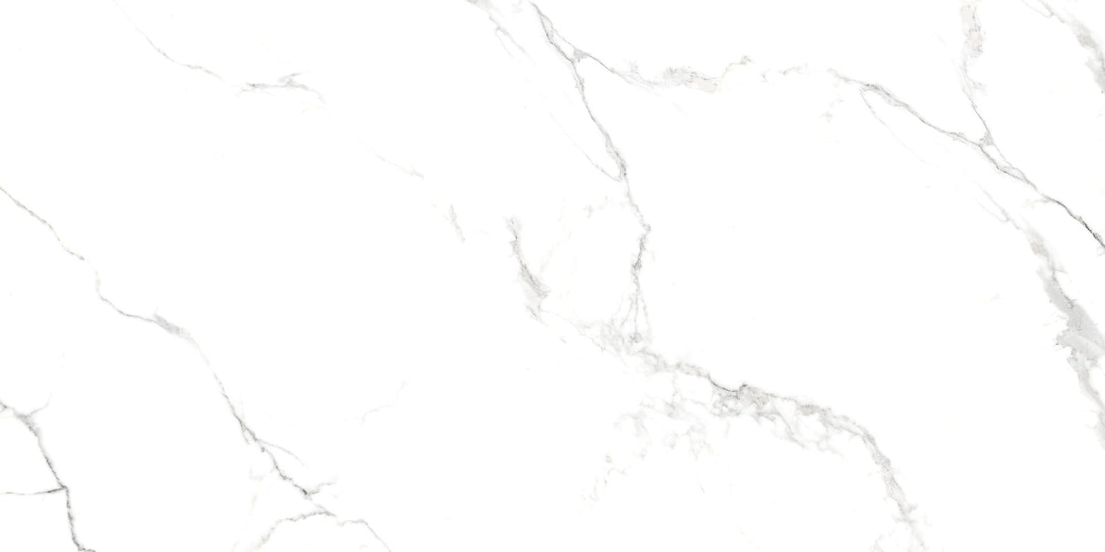 Tile-Milano Polished