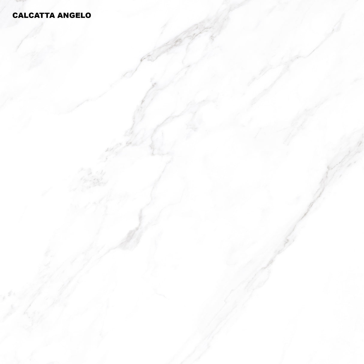 Tile-WB-Calacatta Angelo (Authentic)