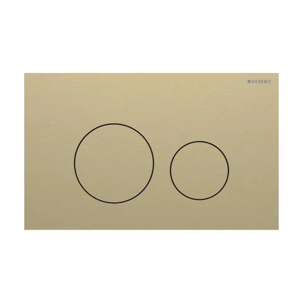 Sigma40 Dual Flush Plate