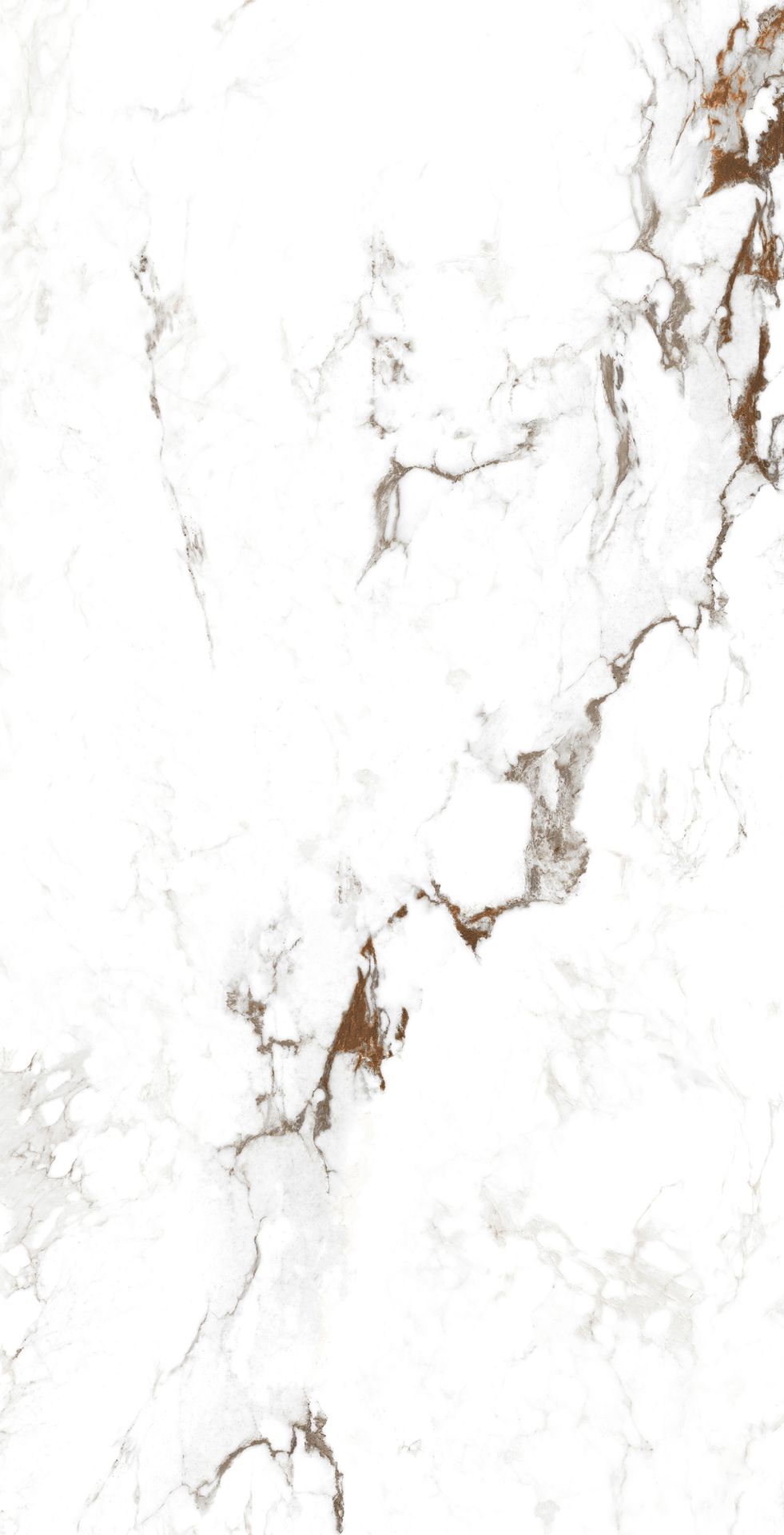 Tile-Rio White