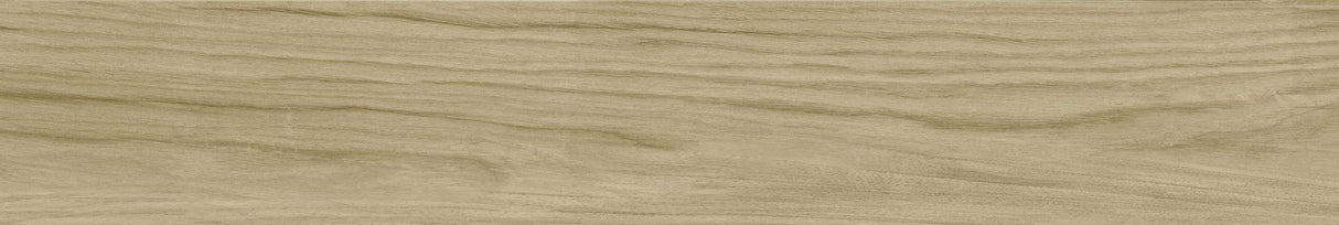 Tile-Bosland HNY RC