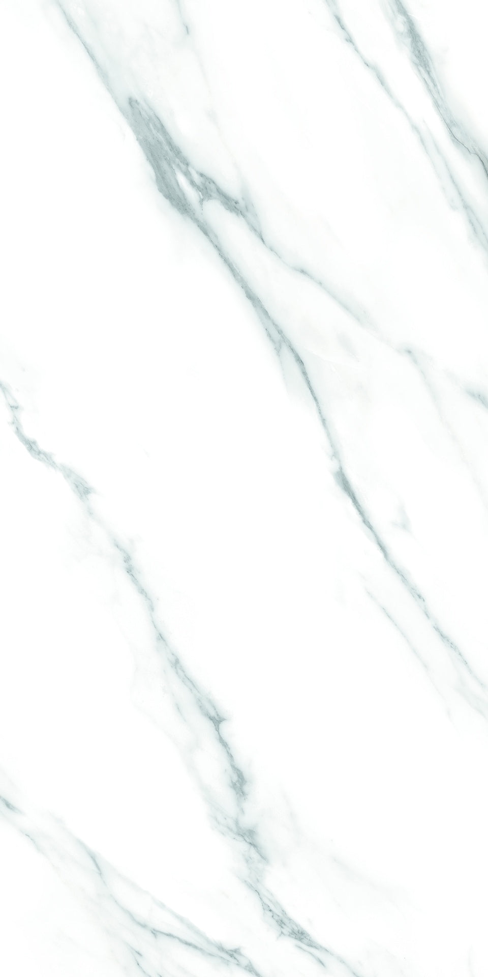 Decor Carrara B NPLUS 598×1198 Tile