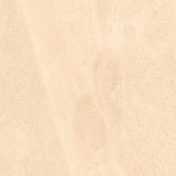 Earthen Beige Outdoor Anti-Slip Tile