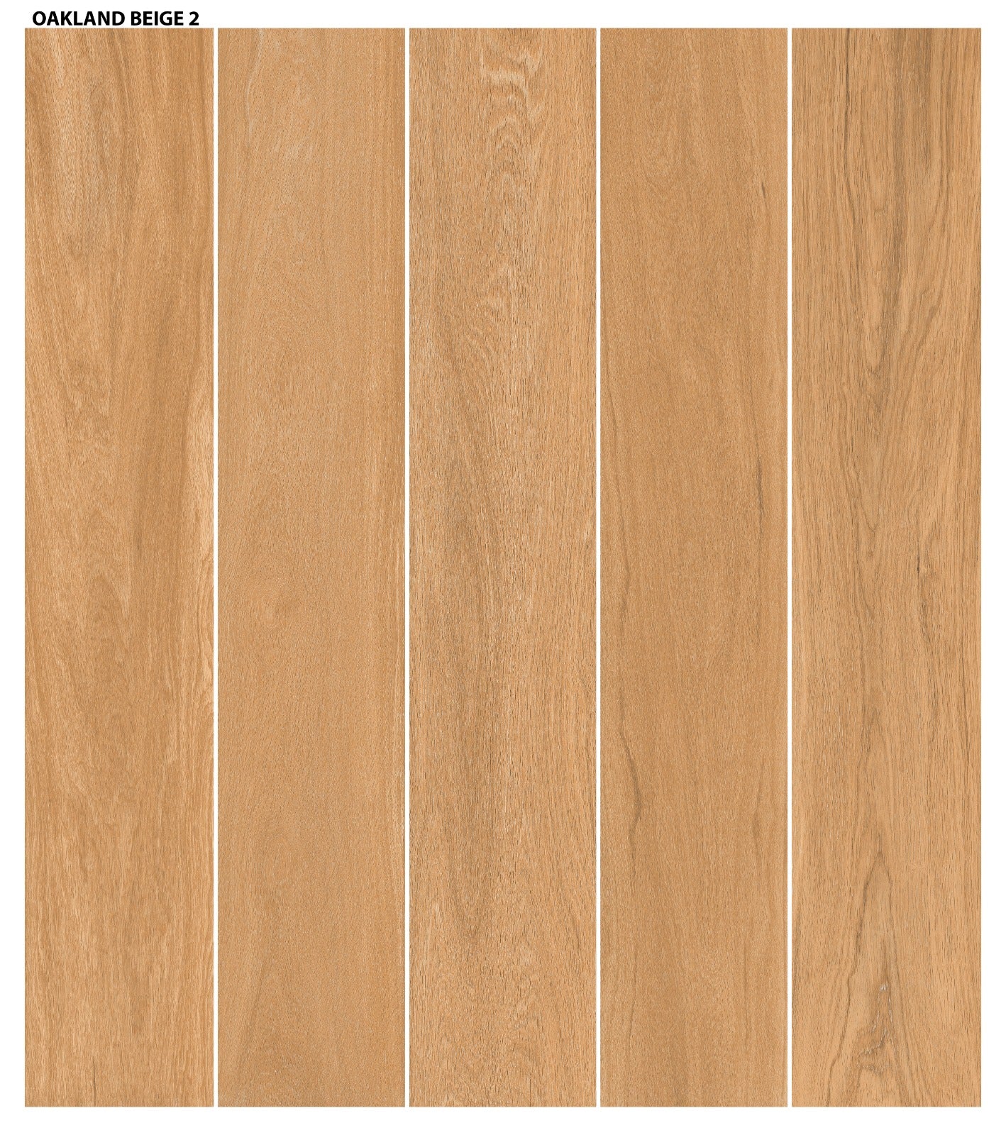 Tile-Oakland Beige Punch - M