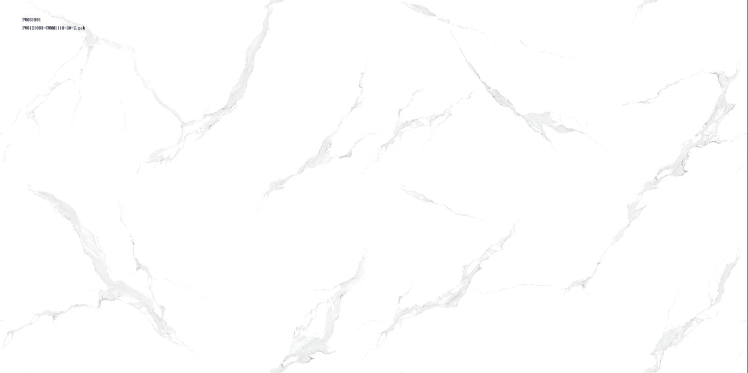 Tile PW661991 Glossy 60x60