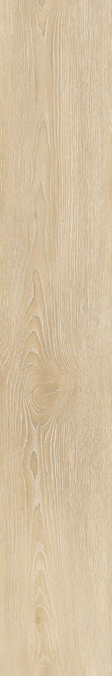 Tile- Arbor Betulla Nat R