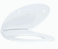 GROHE BAU CERAMIC Floor Standing WC for Close Coupled Combination 39429000)