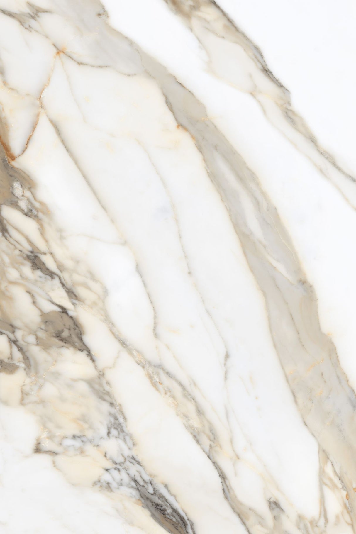 Tile-Calacutta Royal (Face -A)
