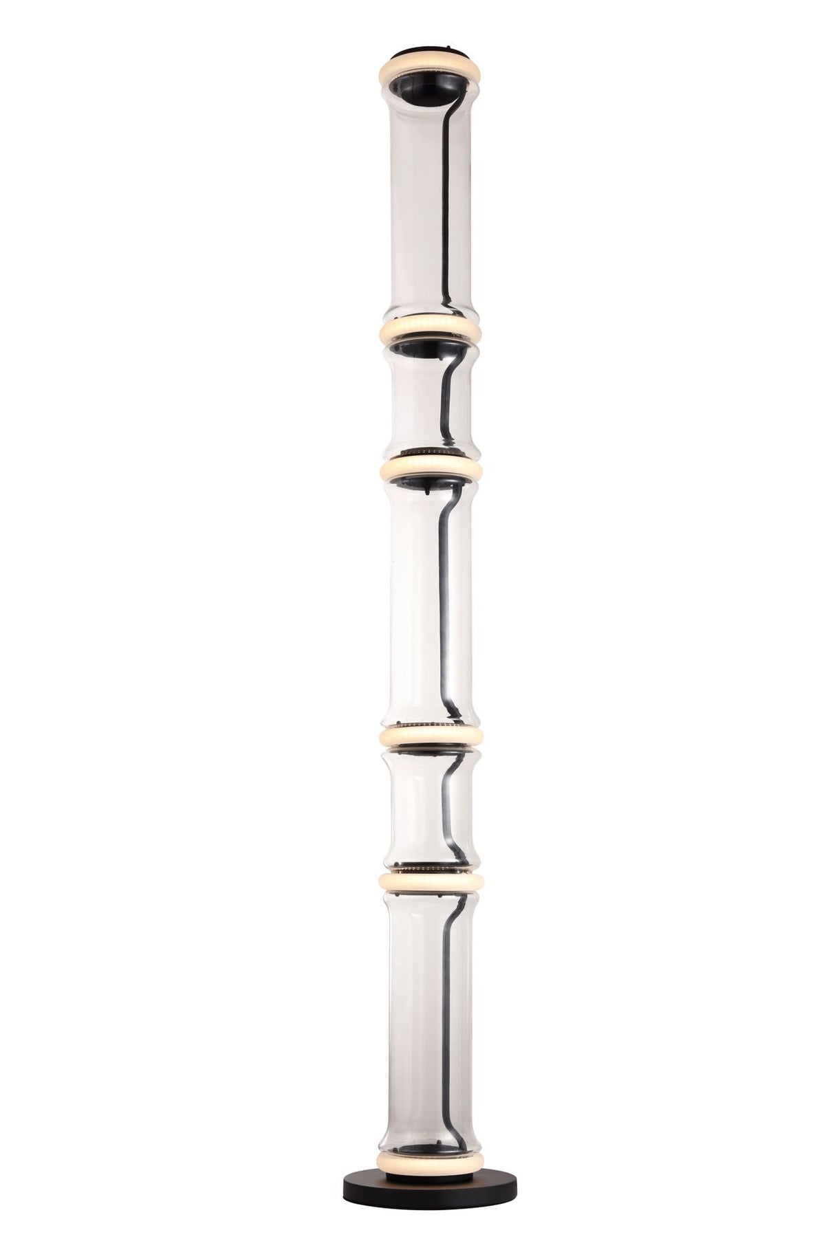 Floor lamp-2502-F2-D300*H1600-Black+Clear Color-Aluminum +Glass