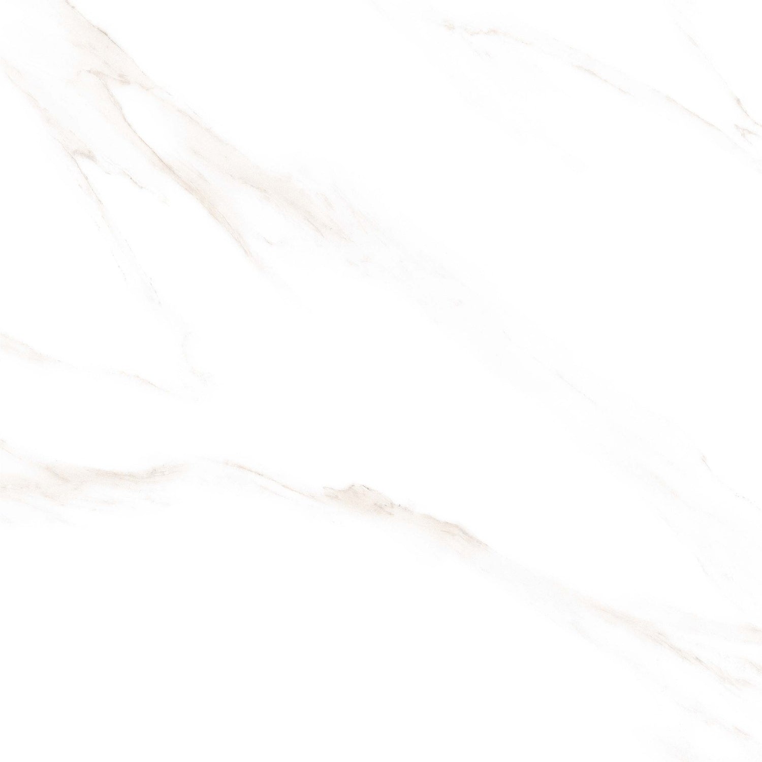 Tile 5001 Glossy 60x60