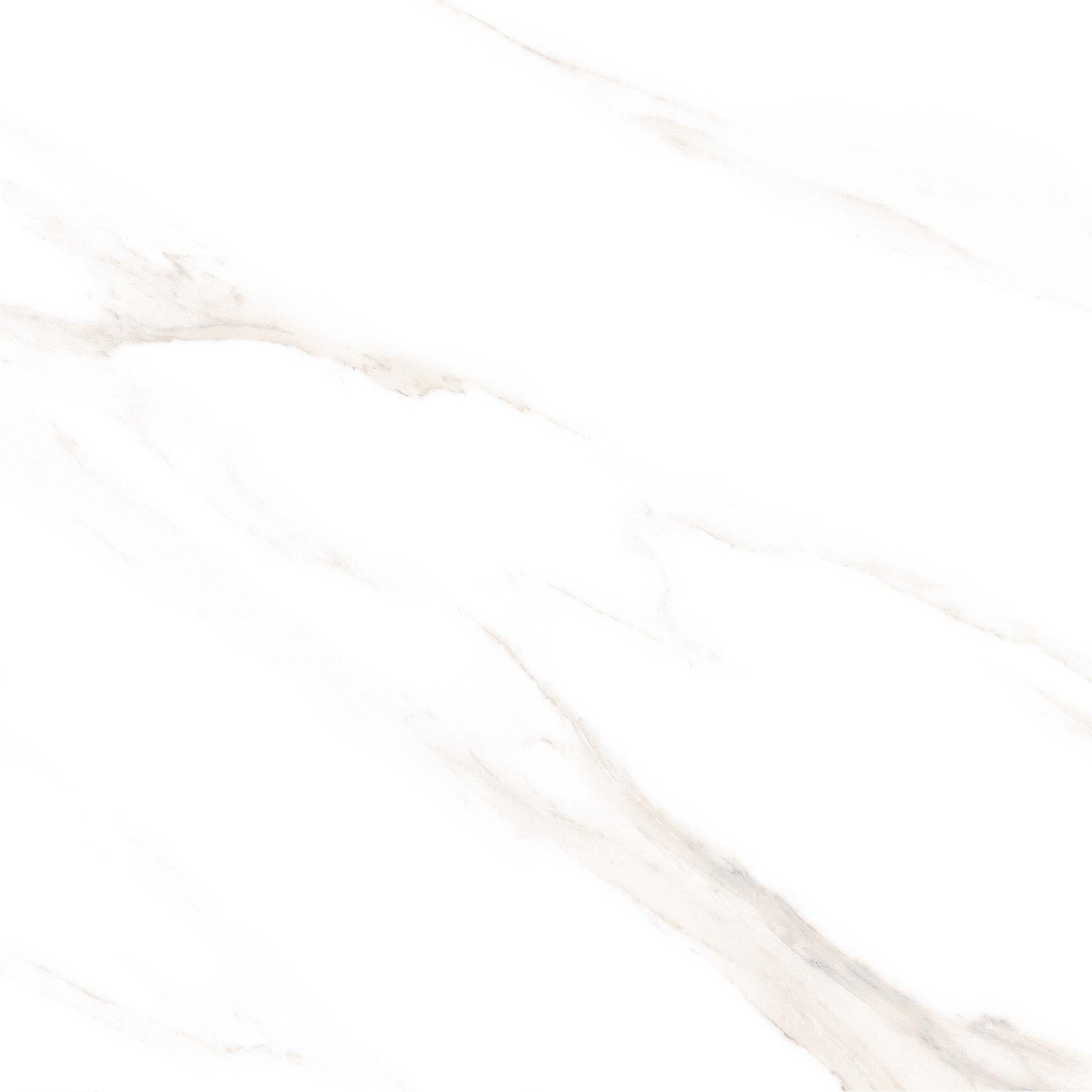 Tile 5001 Glossy 60x60