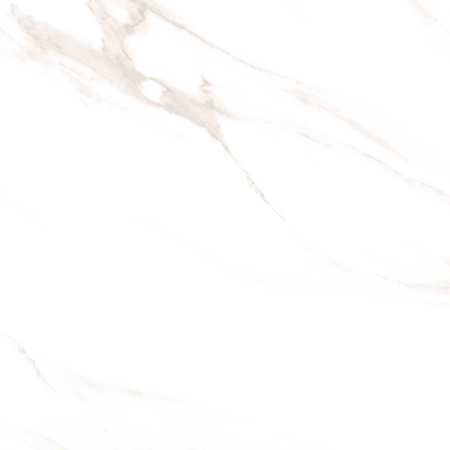 Tile 5001 Glossy 60x60