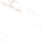 Tile 5001 Glossy 60x60