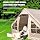 Toby’s Inflatable-04 Camping Tent with Pump – 2 Person, 400 × 300 × 200 cm