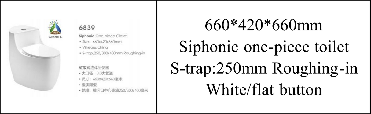 6839- Single Piece S Trap White -250MM