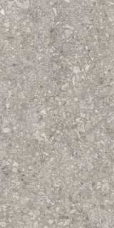 1200*600 Tegza Grey Matt (2,1.44)