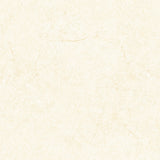 Tunisia White FP Tile