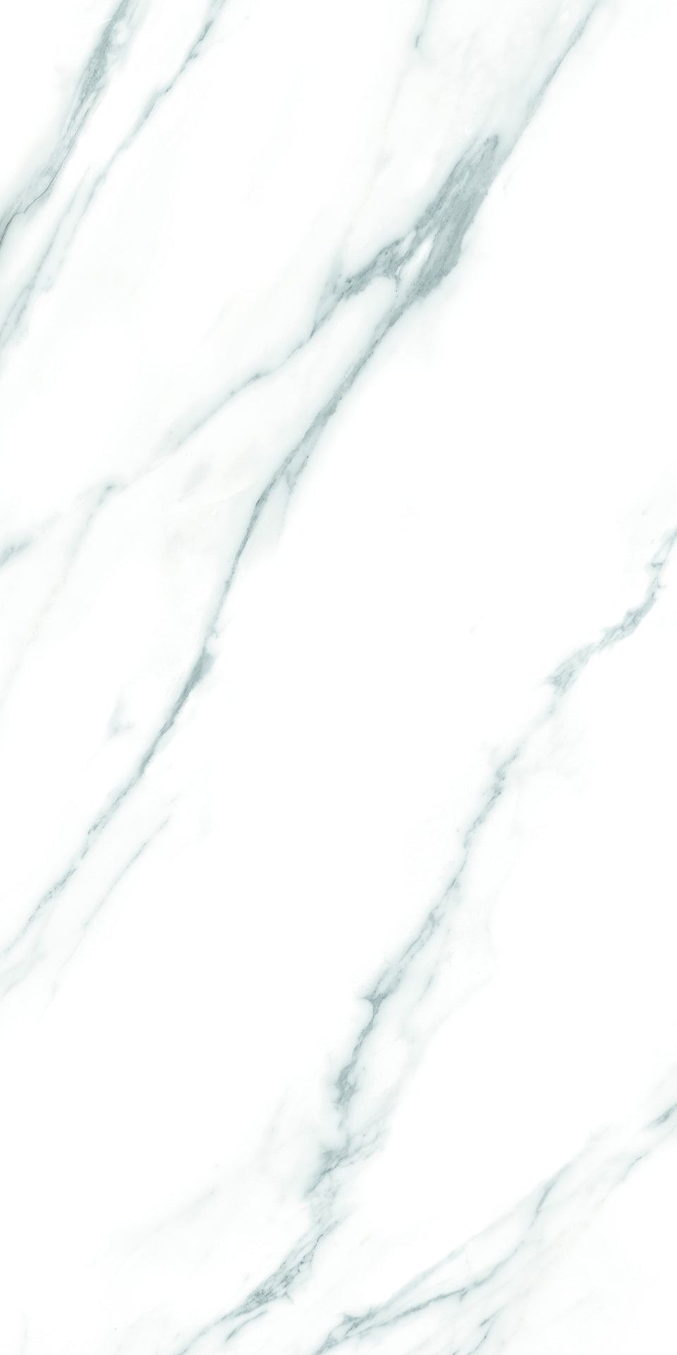 Tile Decor Carrara NPLUS 598×1198