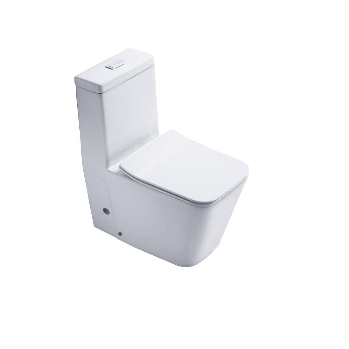 Floor Mounted Toilet